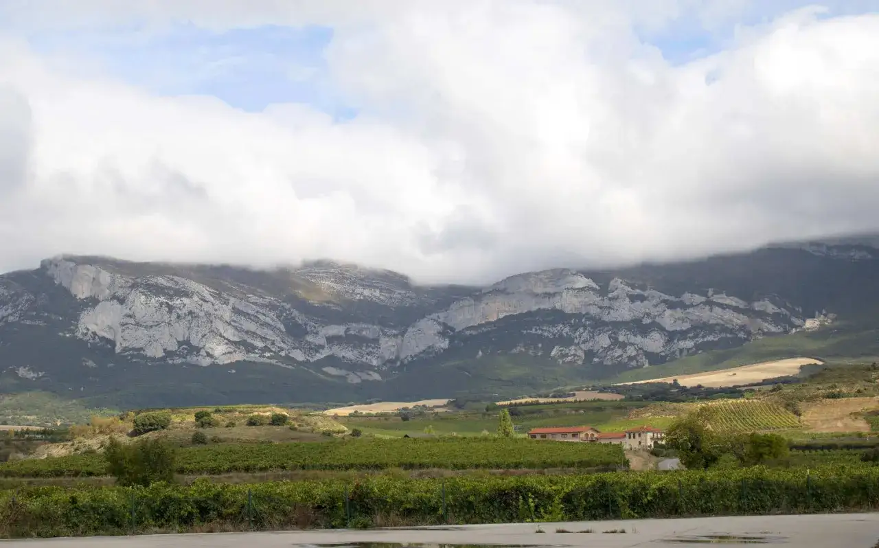 Paisaje de viñedos y montañas en los altos de Rioja, con nubes cubriendo las cumbres.