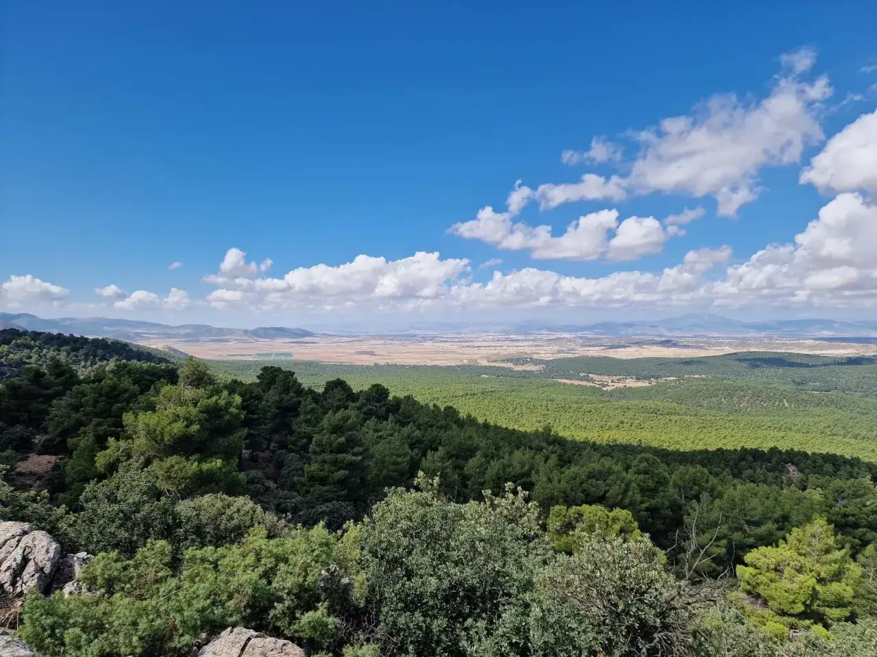 Vista panor&aacute;mica de la sierra maria, con un mar de pinos verdes bajo un cielo azul con nubes algodonosas.