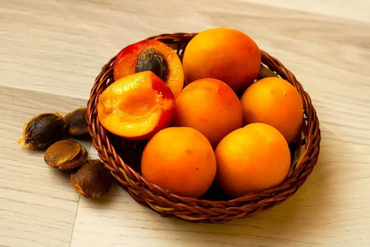 Un panier en osier contient des abricots m&ucirc;rs, dont un coup&eacute; en deux r&eacute;v&eacute;lant son noyau. Quelques noyaux d'abricot sont dispers&eacute;s &agrave; c&ocirc;t&eacute;.