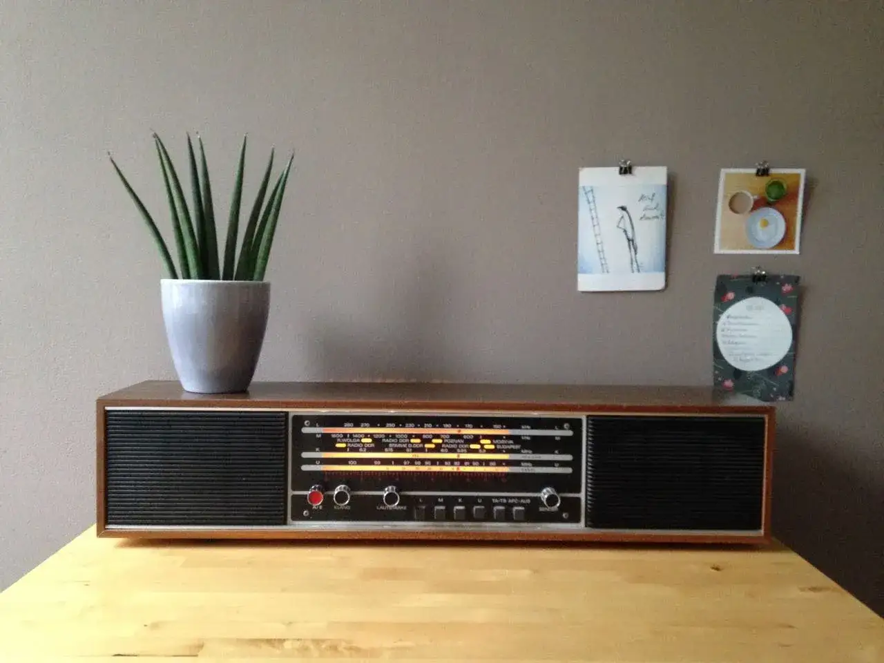 Retro-Radio mit Holzgeh&auml;use und Pflanzen. Ein Blickfang, der zeigt, wie man mit analog radio digital empfangen kann.