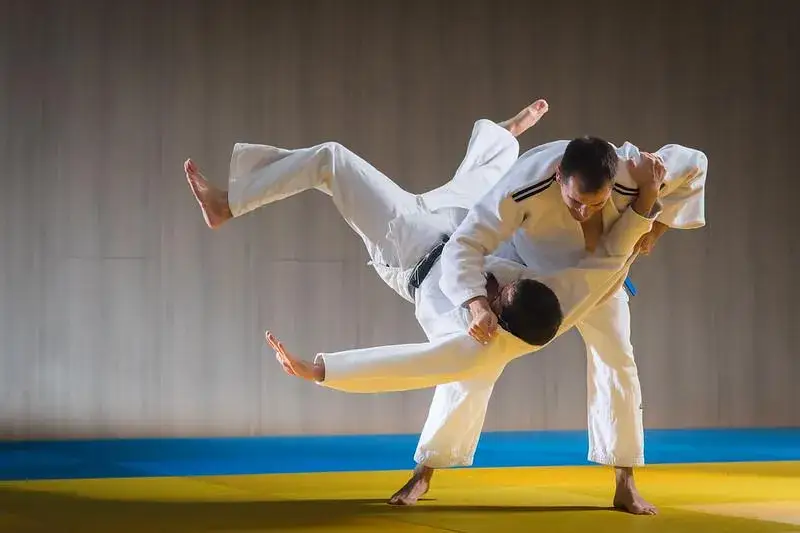 kolaż sztuki walki chwytane bjj judo zapasy