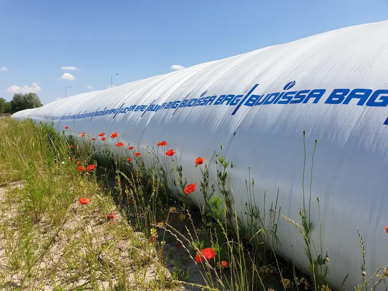 Długi, biały elewator z niebieskim napisem 
