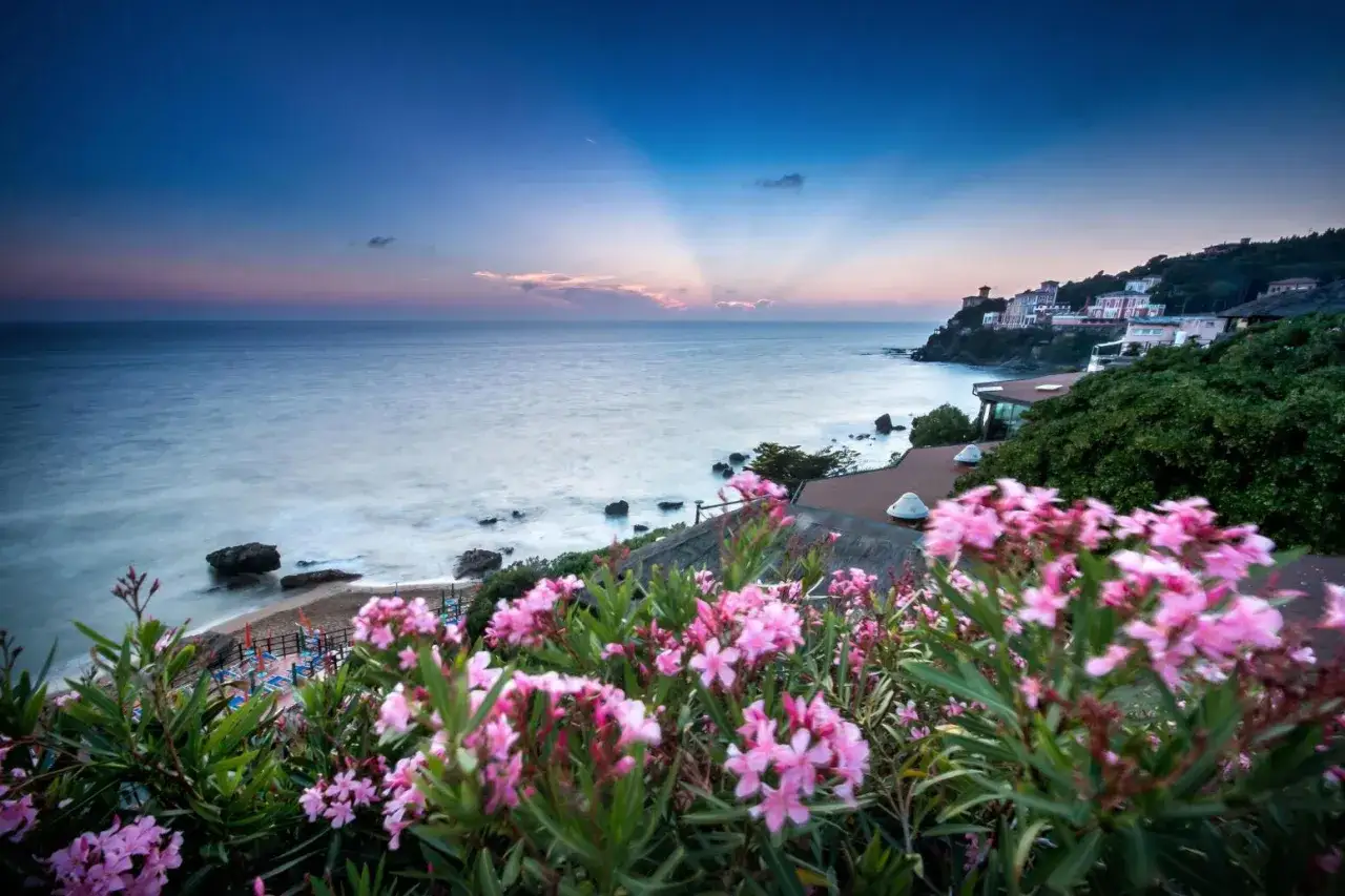 Blommor i f&ouml;rgrunden vid en kustlinje med hus p&aring; en kulle. Havet glittrar i solnedg&aring;ngen. En idyllisk vy &ouml;ver badorter i Toscana.