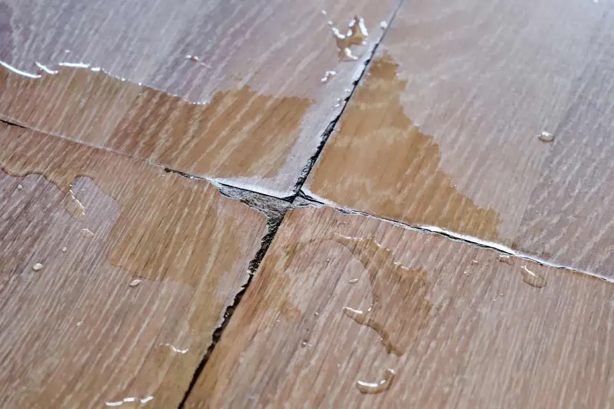 Woda wniknęła w szczeliny między panelami, tworząc kałuże. Zalane panele na łączeniach wyglądają nieestetycznie i mogą ulec zniszczeniu.