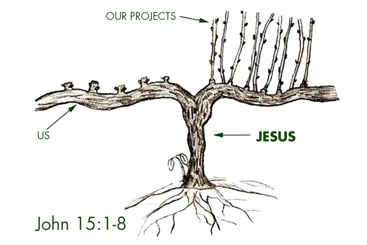 Illustration of a vine with roots labeled 