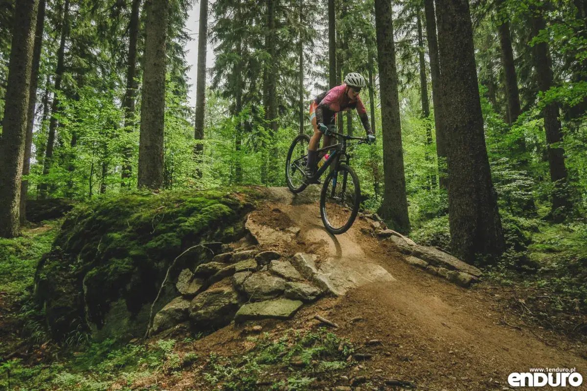 Rowerzystka zjeżdża po kamienistym zjeździe w lesie, odkrywając ekscytujące trasy rowerowe w Jeleniej G&oacute;rze.