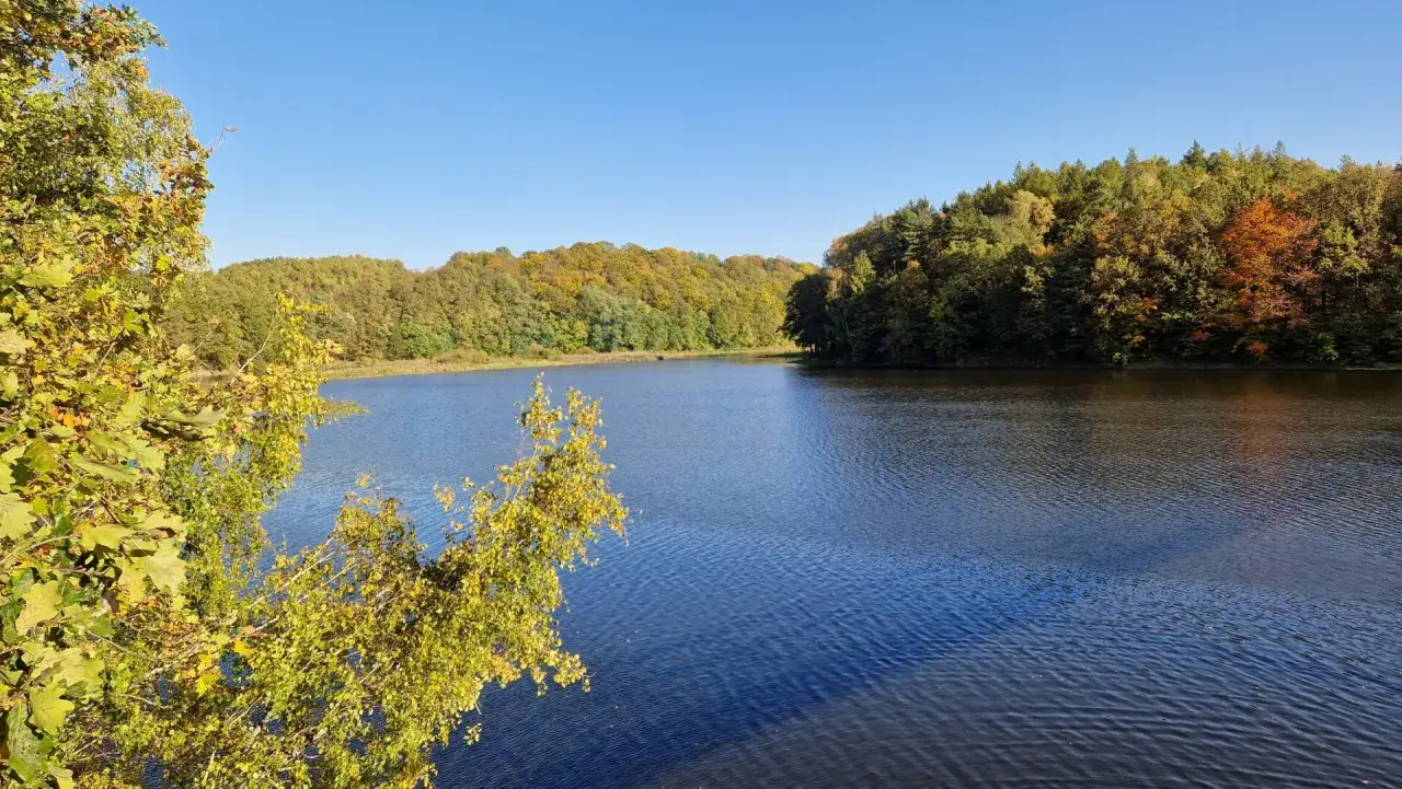 Spokojne jeziora Dolny Śląsk otoczone jesiennymi lasami, z gałęziami drzew na pierwszym planie.