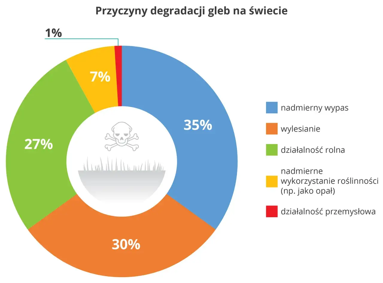 Źródła zanieczyszczeń gleby