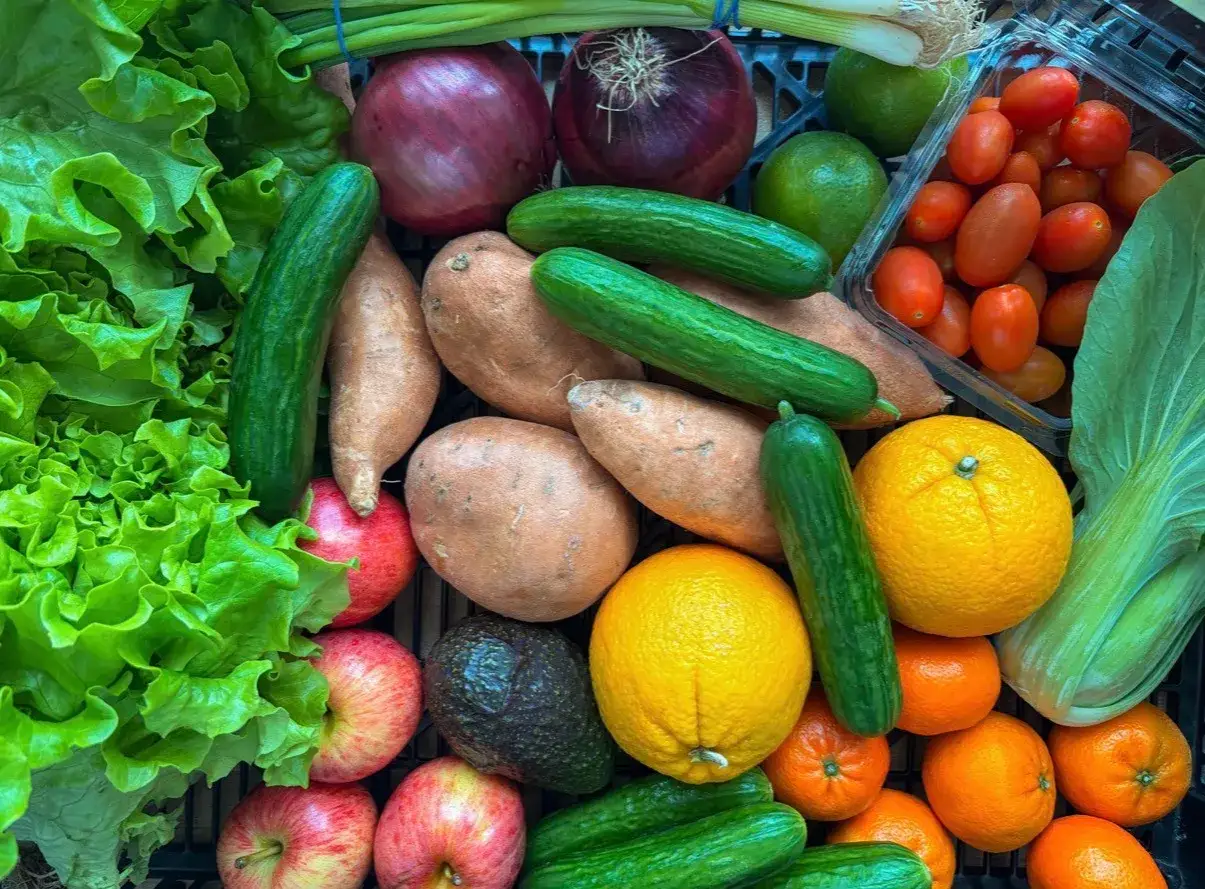 Cesta llena de verduras frescas: lechuga, cebollas rojas, pepinos, batatas, tomates cherry, naranjas, limas, manzanas y aguacate. &iquest;Sabes c&oacute;mo se dice verduras en ingl&eacute;s?