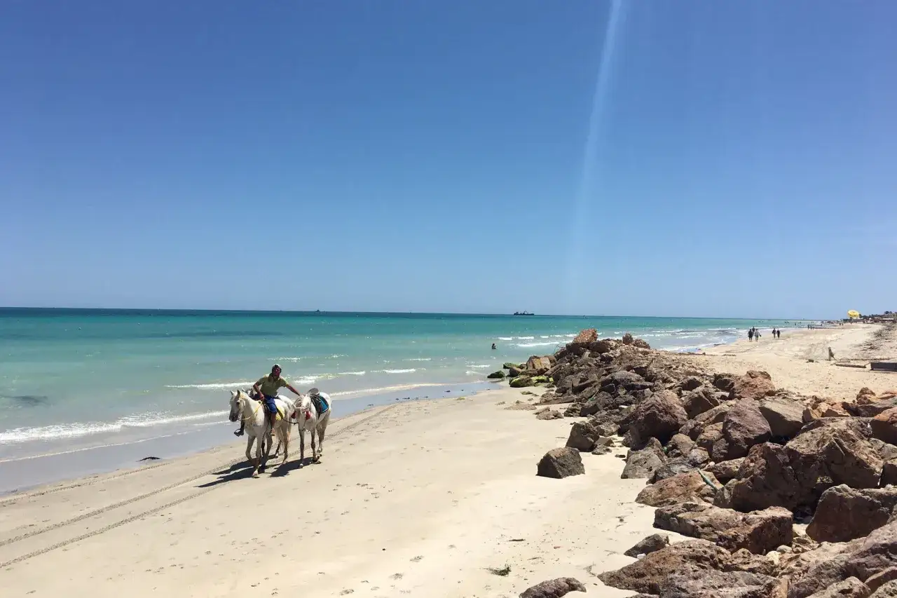 Jeździec na dwóch białych koniach przemierza piaszczystą plażę. Idealne wakacje na Djerbie w Tunezji.