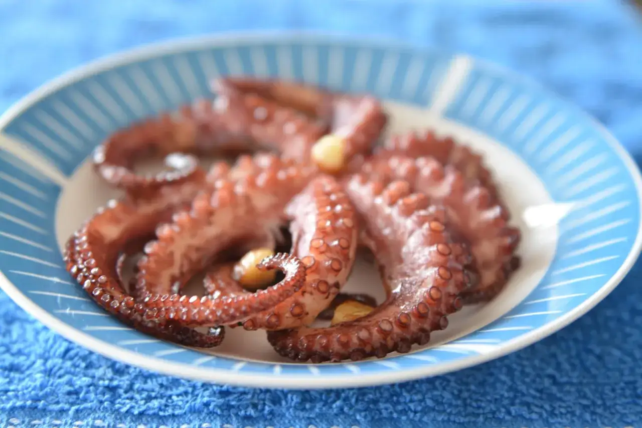 Gotowy ośmiorniczki przepis na talerzu z niebieskimi paskami. Delikatne macki z czosnkiem, gotowe do podania.