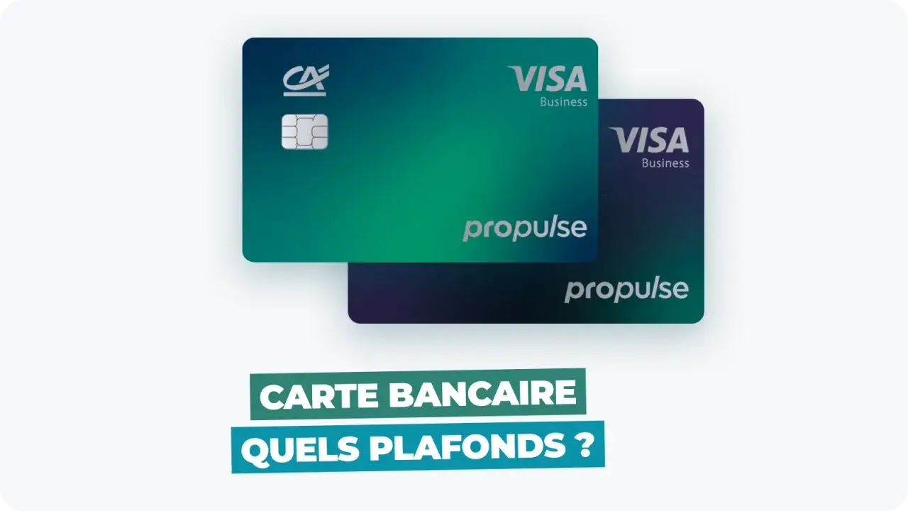 Deux cartes Visa Business