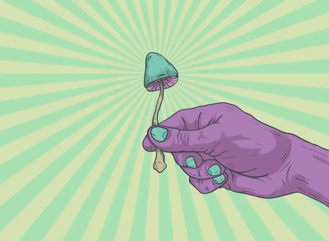 Paarse hand houdt kleine paddenstoel vast, een visuele metafoor voor wat is microdosing.
