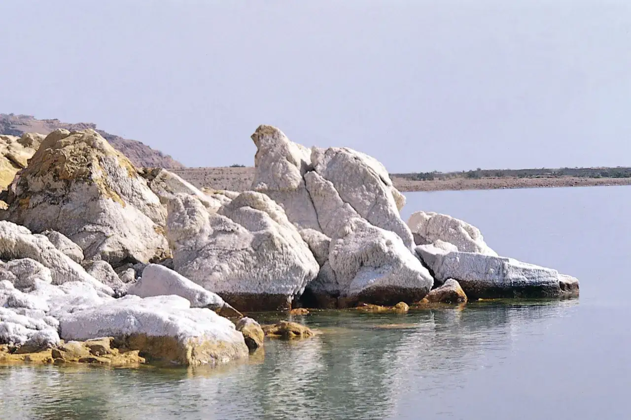 Rochers salins au bord de la mer Morte, en Jordanie. L'eau calme reflète le ciel clair.