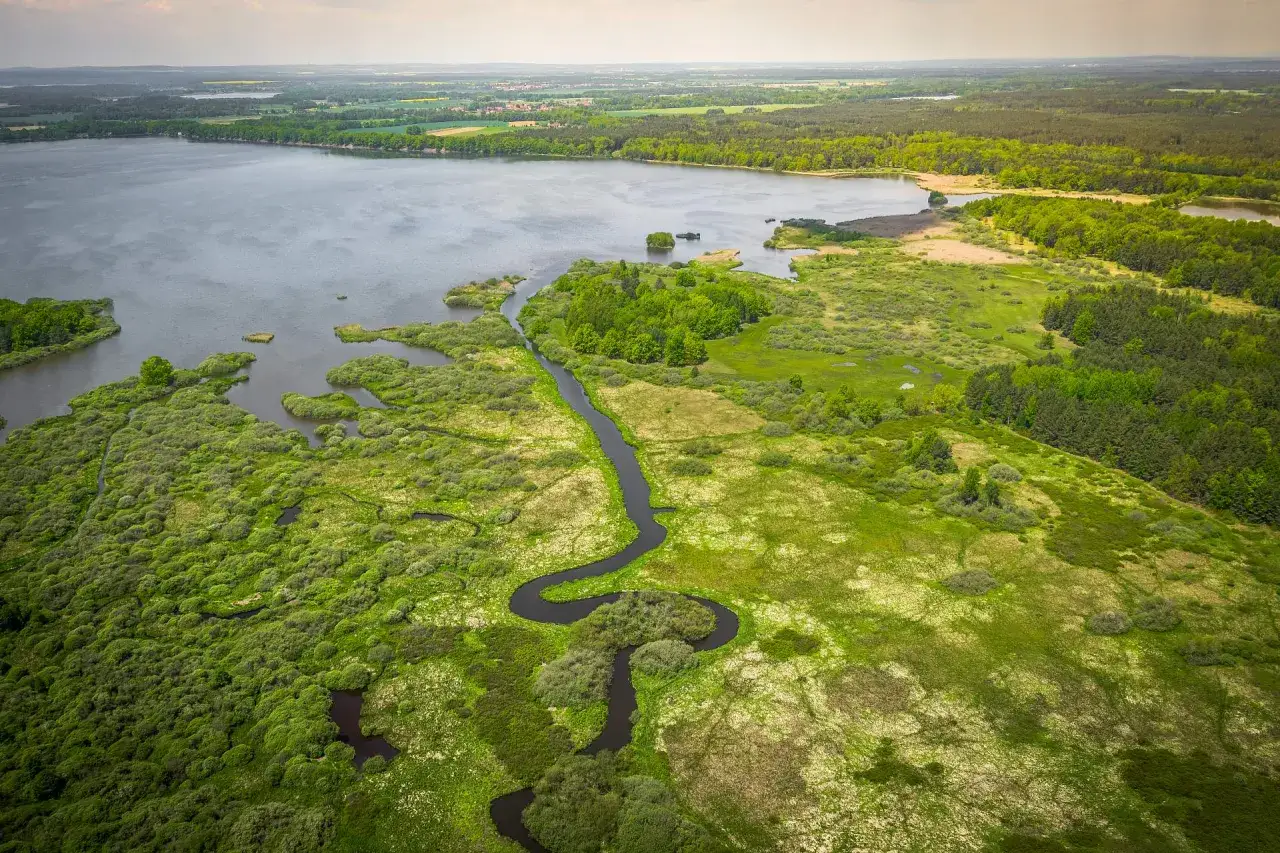 Ein idyllischer See mit üppiger Ufervegetation und verschlungenen Wasserläufen. Ein echter **geheimtipp tschechien urlaub** für Naturliebhaber.