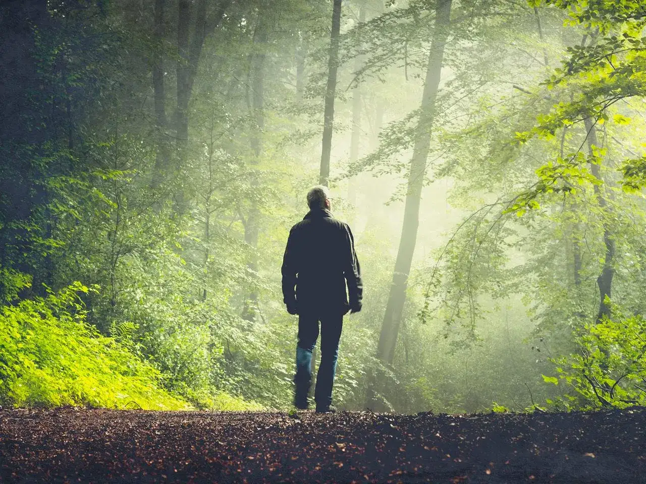 Mann im Wald, umgeben von &uuml;ppigem Gr&uuml;n. Dies ist ein Beispiel f&uuml;r Waldbaden, das tiefe Entspannung und Verbindung zur Natur f&ouml;rdert.