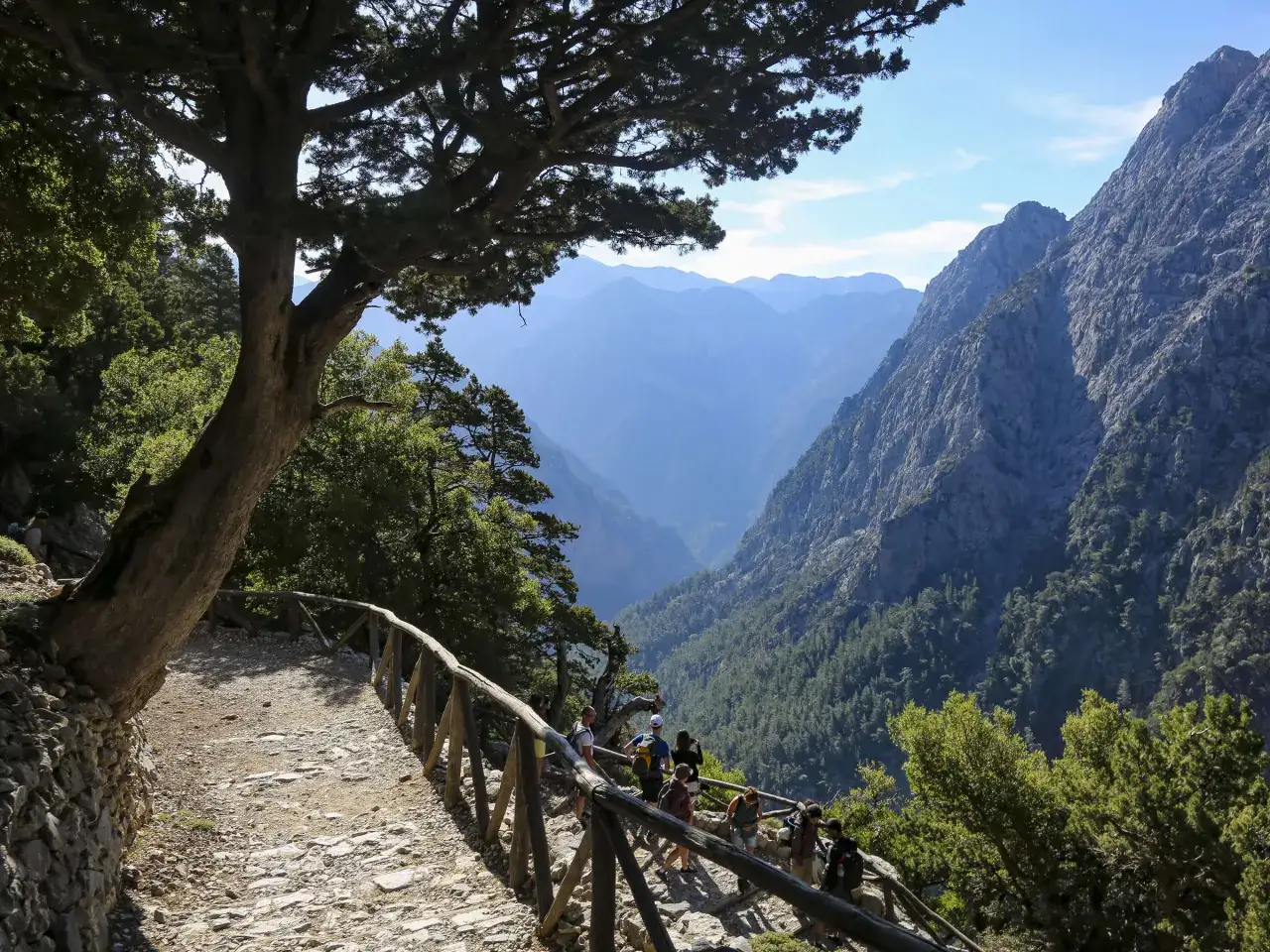 Wanderer auf einem steinigen Pfad mit Holzzaun, der in die beeindruckende Samaria Schlucht blickt. Berge und gr&uuml;ne H&auml;nge erstrecken sich in der Ferne.