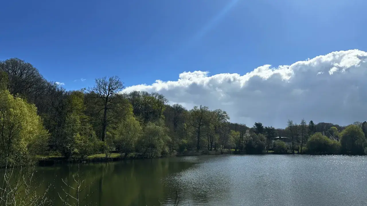 Calme lac reflétant la verdure luxuriante de la forêt de Meudon sous un ciel bleu parsemé de nuages blancs.