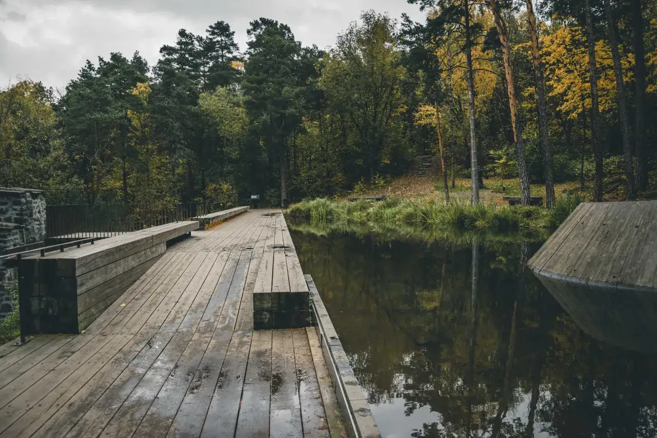 Drewniany pomost w oslo park prowadzi do spokojnego jeziora otoczonego jesiennym lasem.