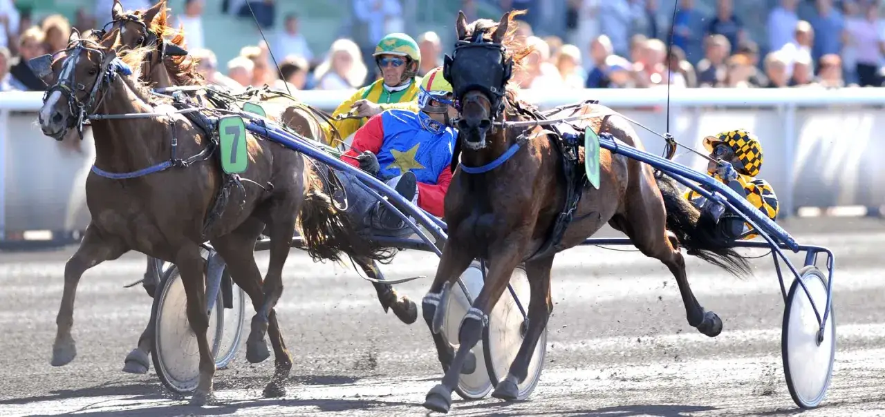 Course de trot : un cheval de course et son driver en pleine action, poussière soulevée par les sabots.