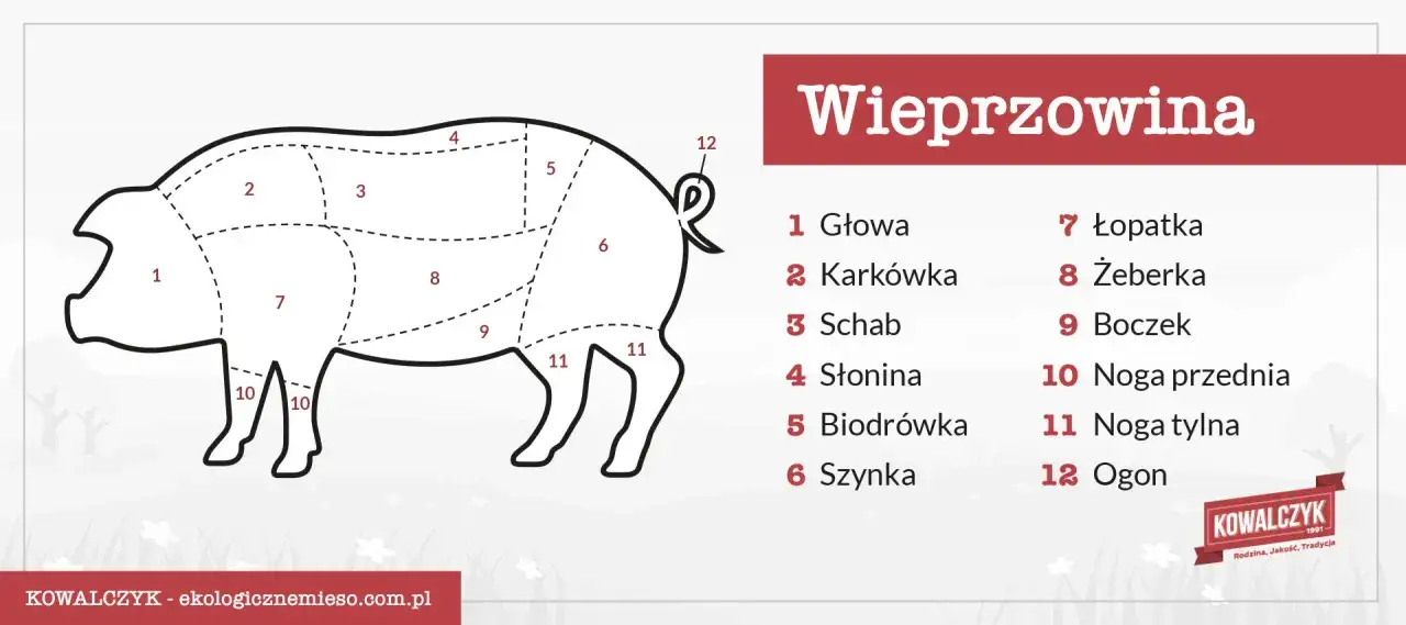 Schemat wieprzowiny z numeracją części. Golonka to noga przednia (10) lub tylna (11) świni.