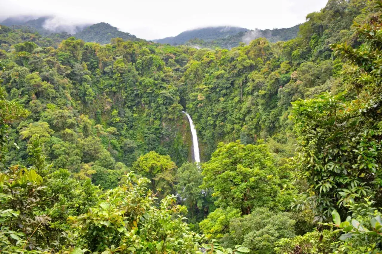 Cascada en la selva exuberante de Costa Rica por libre. Montañas cubiertas de niebla y vegetación densa.