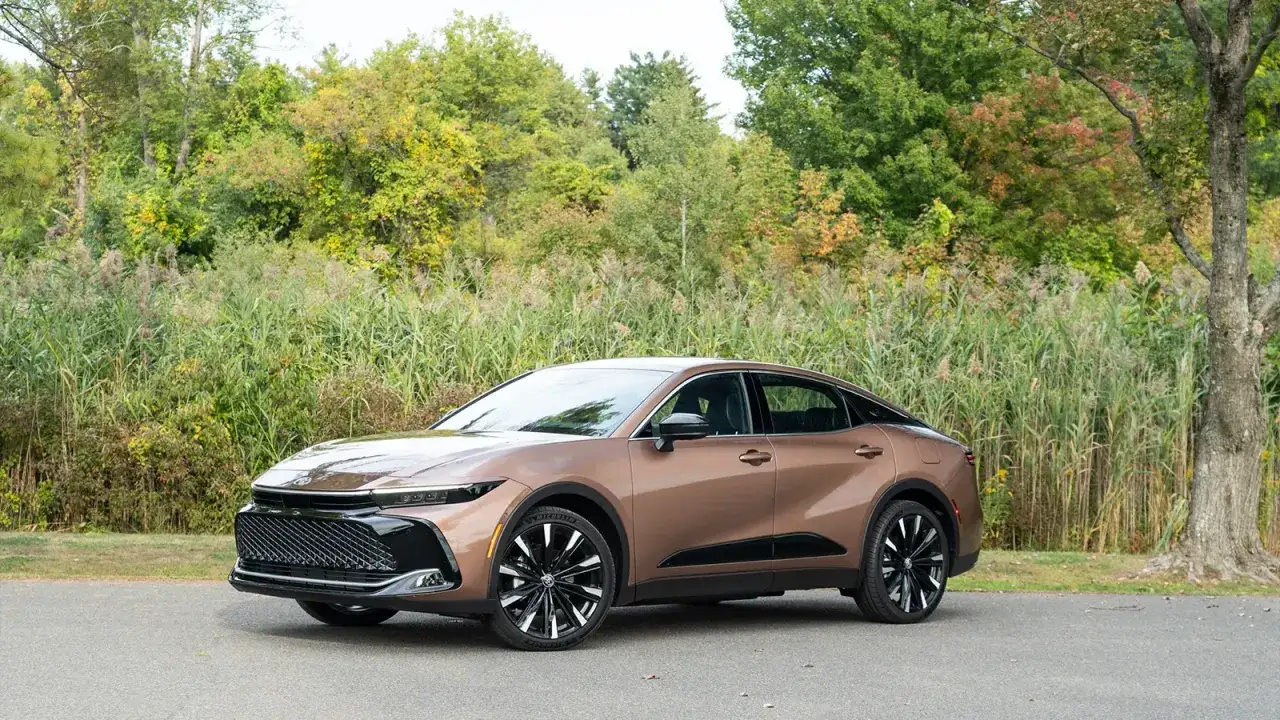 Brązowy Toyota Crown stoi na tle bujnej zieleni i wysokich traw.