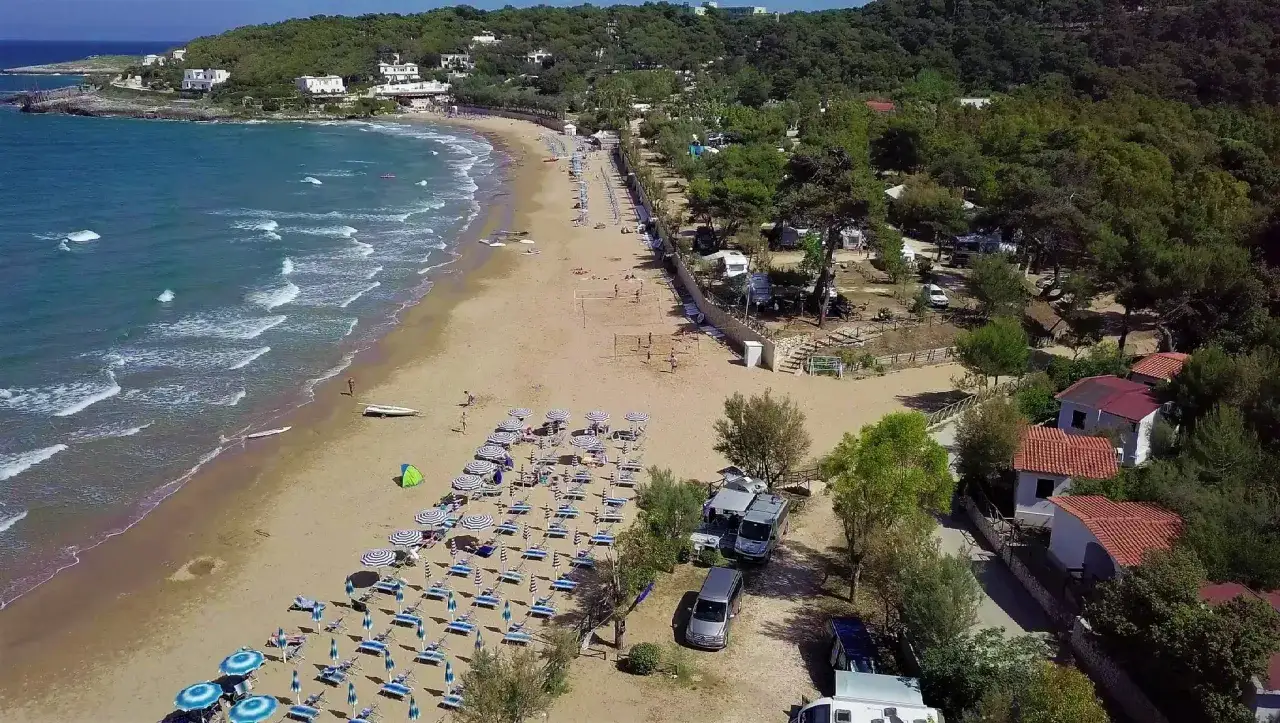 Piękny, piaszczysty **pole namiotowe z widokiem na morze**. Leżaki i parasole czekają na plaży, a w tle widać drzewa i domki.