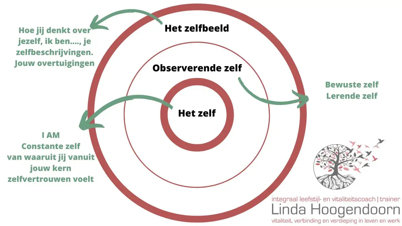 Diagram over zelfbeeld, observerende zelf en het zelf. Het laat zien hoe overtuigingen het jachtig leven betekenis geven.
