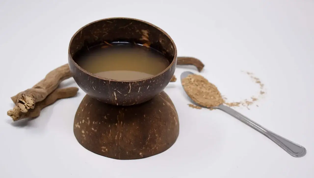 Kawa kava jak przygotować? Nap&oacute;j z korzenia kava w łupinie kokosa, obok łyżka proszku i kawałek korzenia.