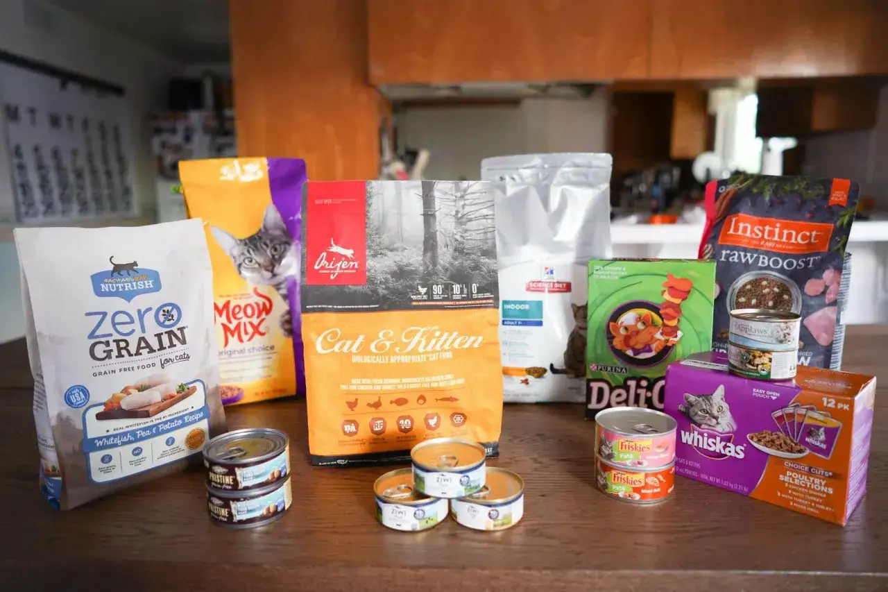 A variety of cat food brands are displayed, including Friskies. Is Friskies a good cat food? This image shows many options for discerning feline palates.