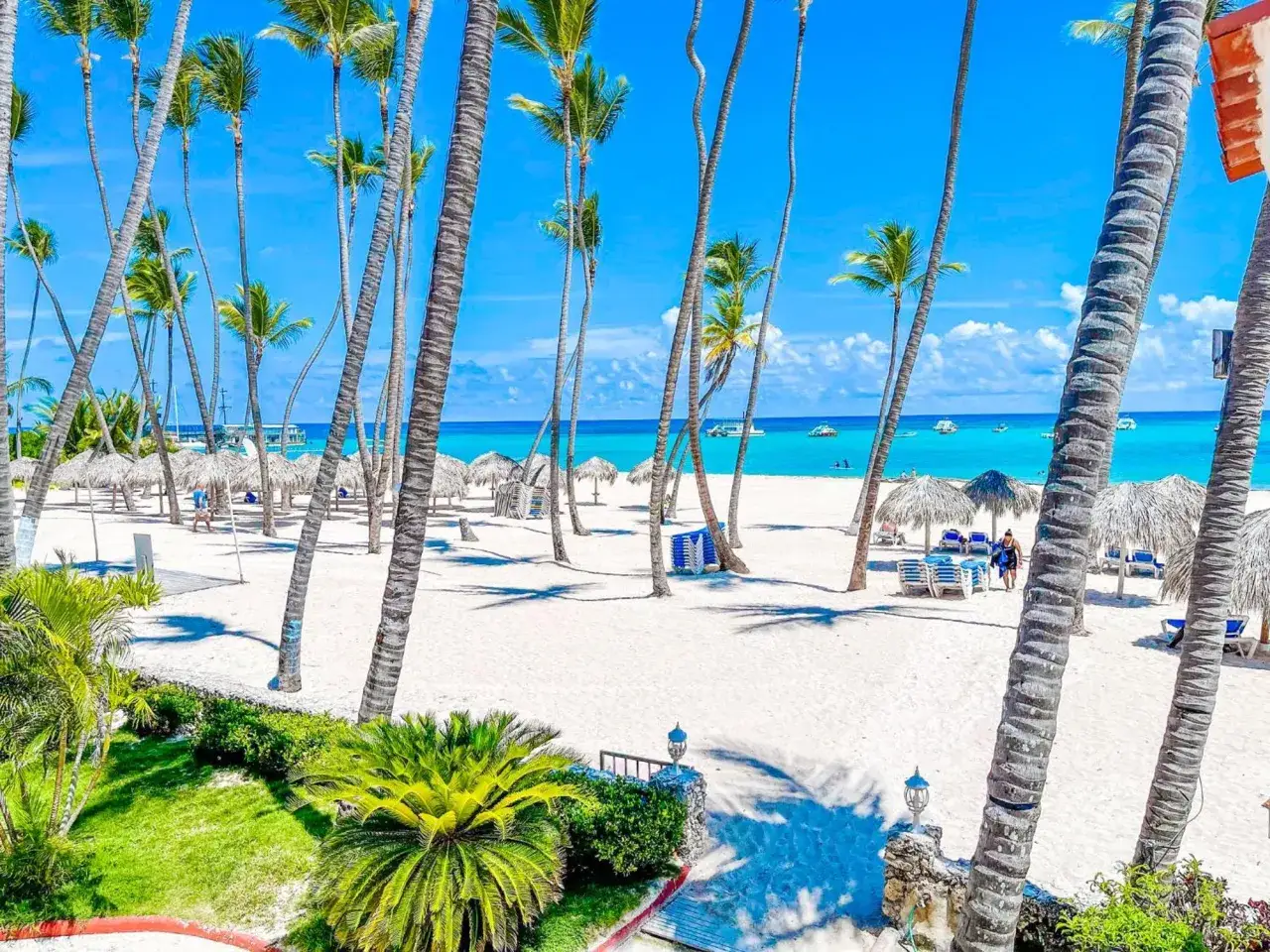 Rajska plaża w Punta Cana z palmami, białym piaskiem i turkusowym morzem. Idealne miejsce na relaks i odkrywanie atrakcji.