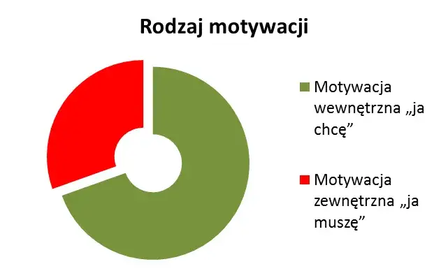 motywacja wewnętrzna i zewnętrzna grafika