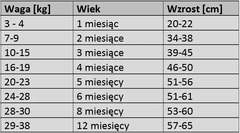 tabela wzrostu owczarka niemieckiego szczeniaka 4 miesiące