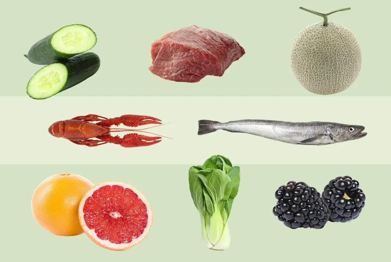 Gurka, k&ouml;tt, melon, kr&auml;ftor, fisk, grapefrukt, pak choi och bj&ouml;rnb&auml;r. Allt detta &auml;r exempel p&aring; mat med lite kalorier.