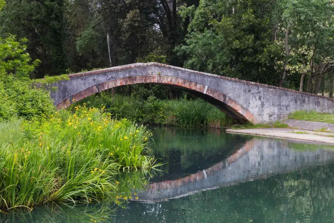 Ponte ad arco nel parco della Versiliana, con vegetazione lussureggiante e fiori gialli che si specchiano nell'acqua calma.