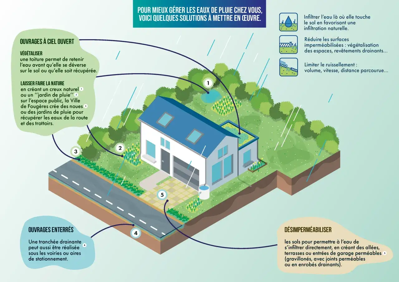 Illustration de la réglementation eaux pluviales maison individuelle : végétalisation, jardins de pluie, désimperméabilisation.