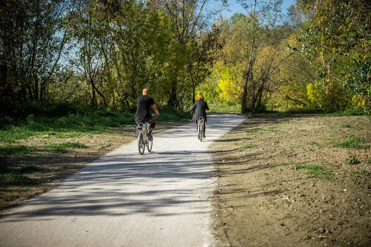 Dwie osoby na rowerach jadą ścieżką wśród drzew. Idealne trasy rowerowe Warszawa na jesienny spacer.