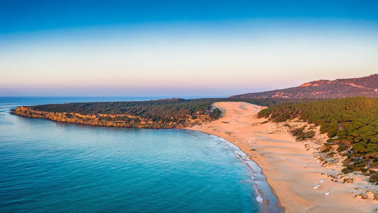 Traumhafter Strand mit D&uuml;nen und Pinienwald an der Costa de la Luz. Ein idealer Ort f&uuml;r Camping.