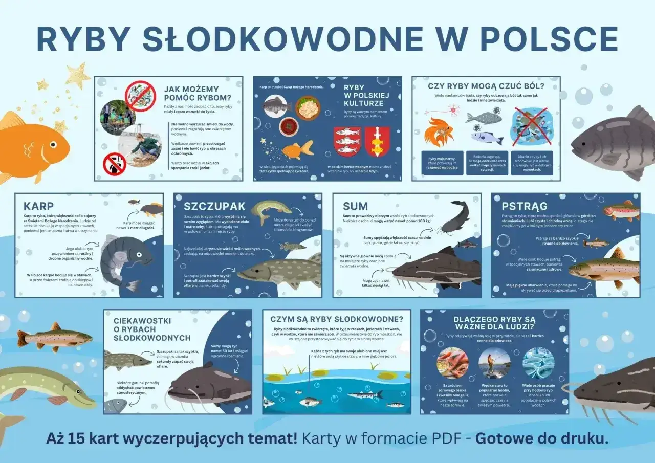 Karp, szczupak, sum i pstrąg – to popularne ryby słodkowodne w Polsce. Poznaj ich cechy i znaczenie.