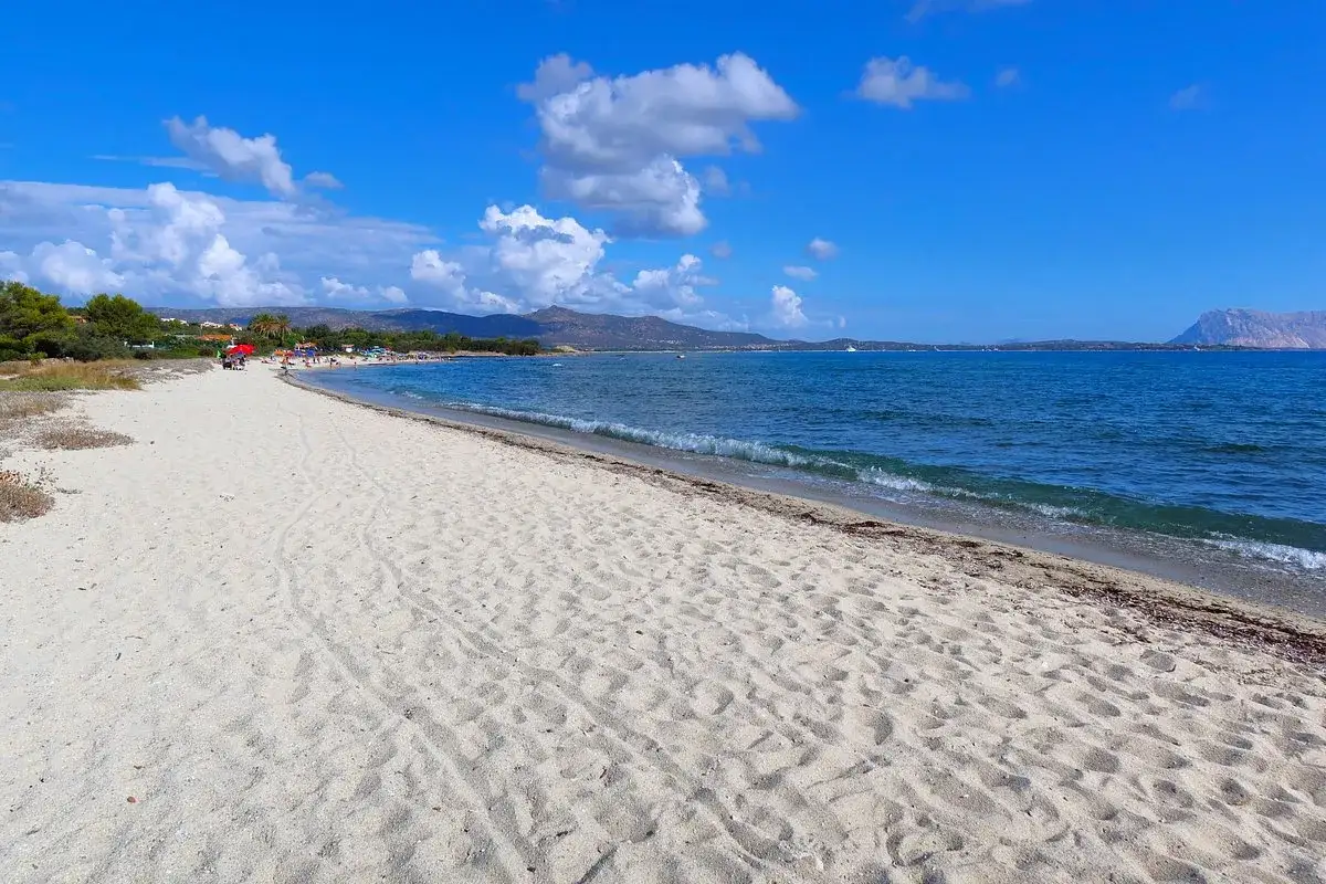 Spiaggia Cala d'Ambra: sabbia dorata, mare azzurro e montagne all'orizzonte. Un angolo di paradiso per rilassarsi sotto il sole.