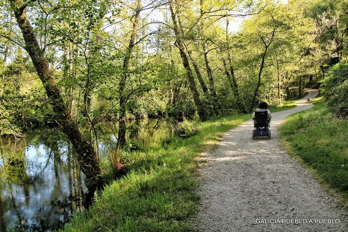 Persona en silla de ruedas motorizada recorre un sendero arbolado junto a un río. La naturaleza exuberante y la luz del sol crean un ambiente sereno.