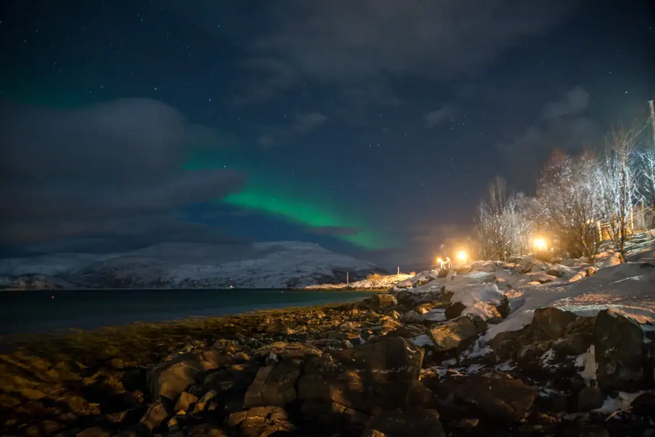 Nocne niebo nad Troms&oslash; w Norwegii rozświetla zorza polarna. Na pierwszym planie kamienista plaża i ośnieżone drzewa.