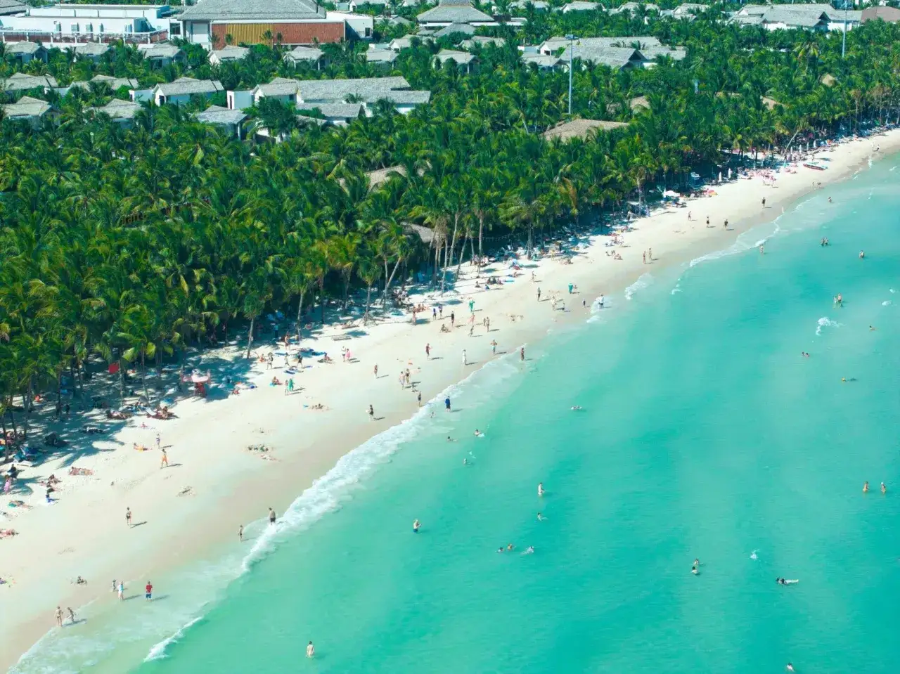 Rajska plaża z palmami i turkusową wodą. Czy warto odwiedzić Phu Quoc? Tak, to idealne miejsce na wakacje!