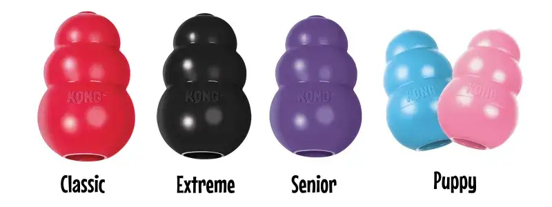 Rodzaje zabawek KONG dla psa (Puppy, Classic, Extreme, Senior)