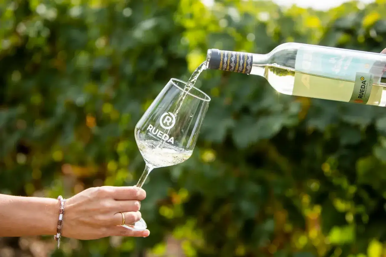 Ein Glas wird mit einem frischen Verdejo Wein aus einer Flasche gefüllt, umgeben von grünen Weinreben.