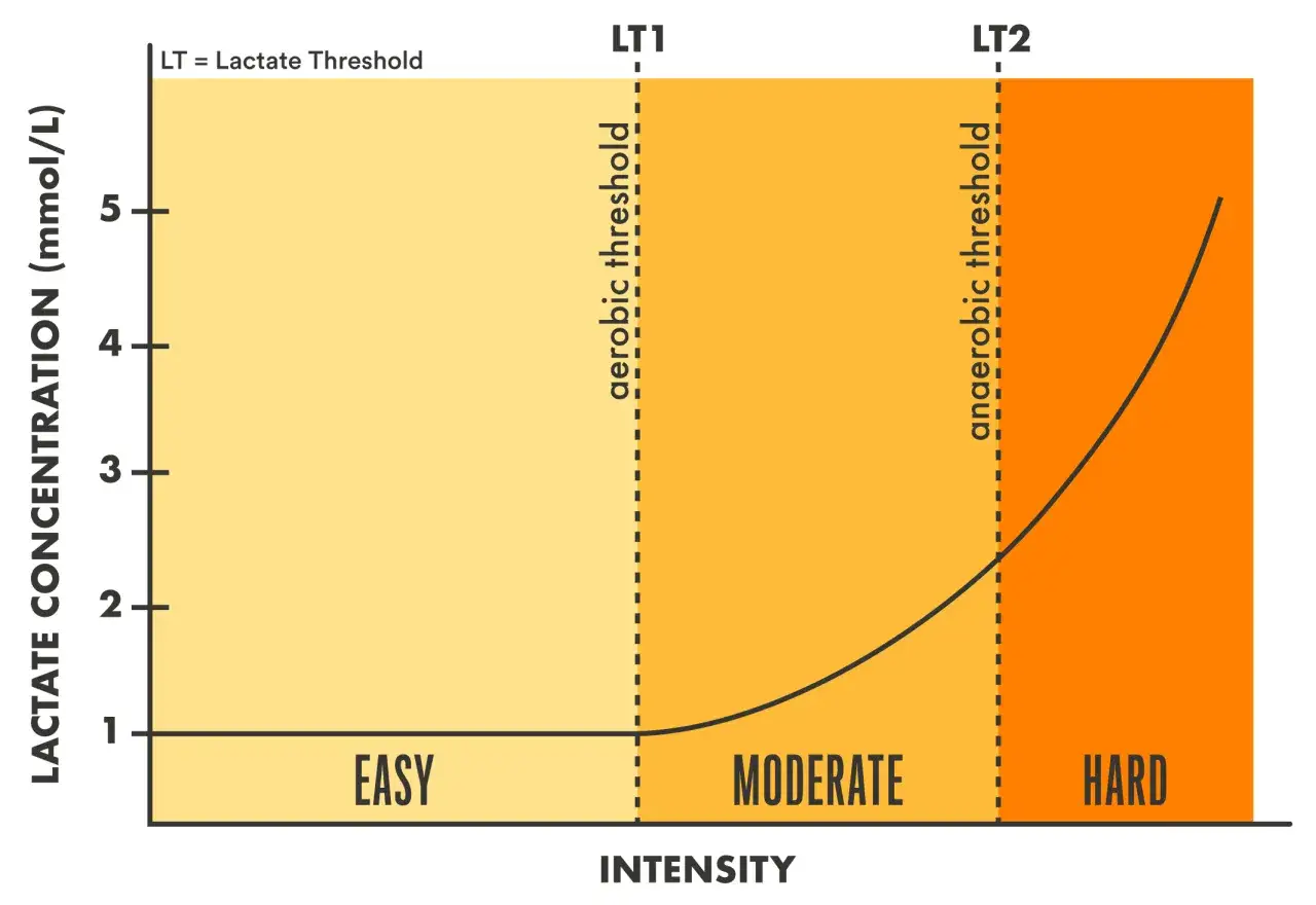 Diagramm zeigt Laktatkonzentration vs. Intensität. Die anaerobe Zone beginnt nach LT2, wo die Laktatwerte stark ansteigen.