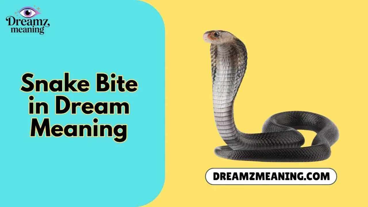 Una cobra se alza amenazante, lista para morder. &iquest;Qu&eacute; significa so&ntilde;ar que te muerde una serpiente? Descubre el significado en Dreamzmeaning.com.