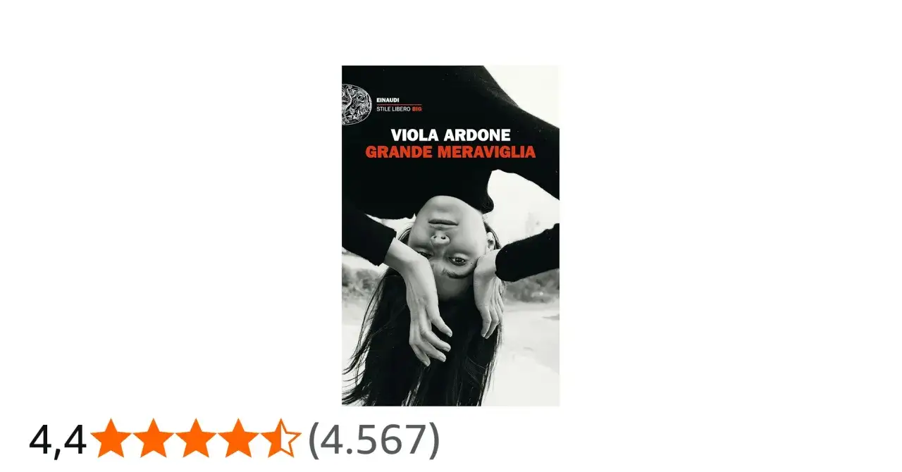 Copertina del libro 