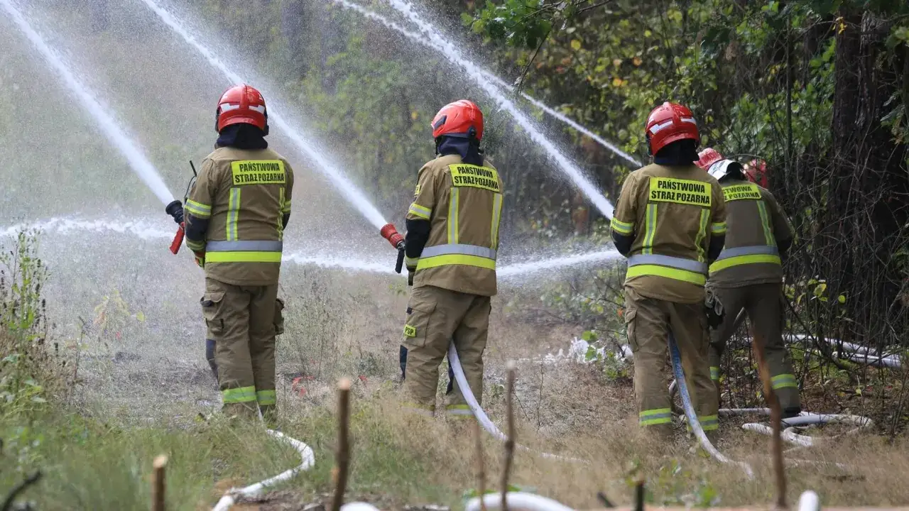 Strażacy w akcji gaszą pożar lasu. W rękach trzymają węże strażackie, a z dysz leje się woda. W tle widać drzewa i zarośla. To nie jest miotła pożarnicza, ale sprzęt do gaszenia.